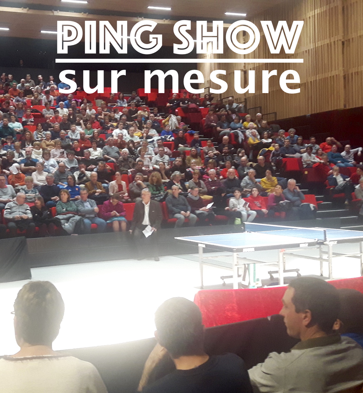 Choisissez parmi les pongistes de très haut niveau qui ont rejoint PING SHOW PRODUCTION et organisez votre show époustouplants en musique et lumière chez vous.
